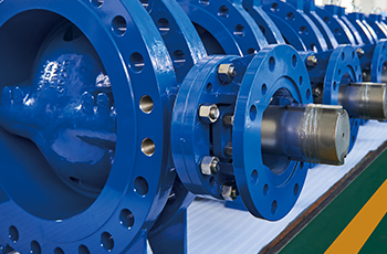 ����ϵ��