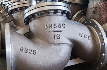 ��ֹ��ϵ��