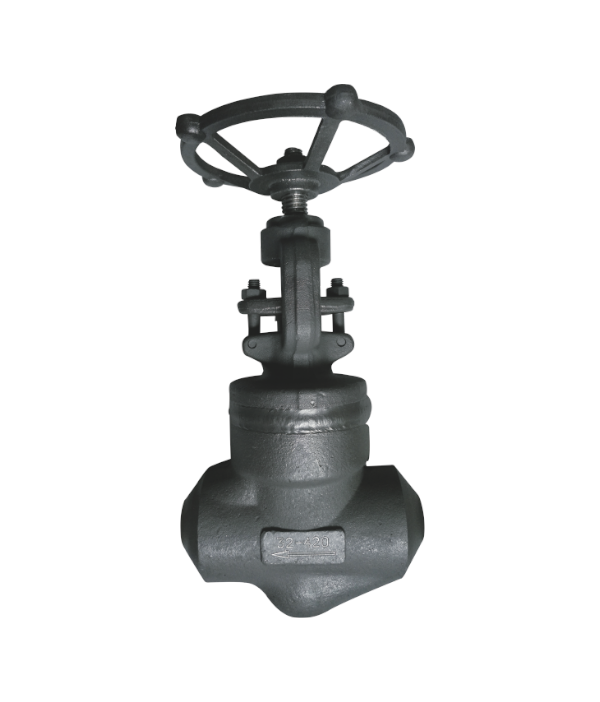 ����͸ֽ�ֹ��