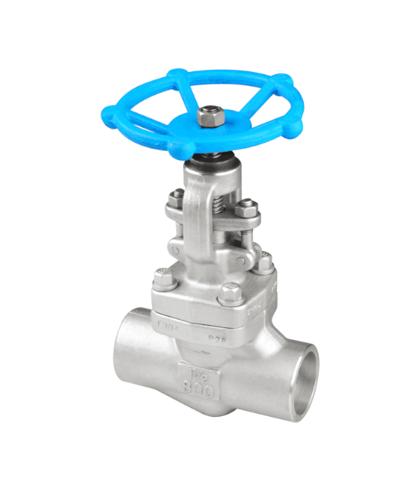 ����͸ֺ��ӽ�ֹ��