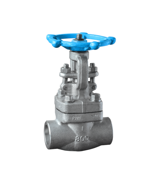 ����͸ֺ���բ��