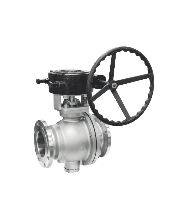 ���귨���̶���