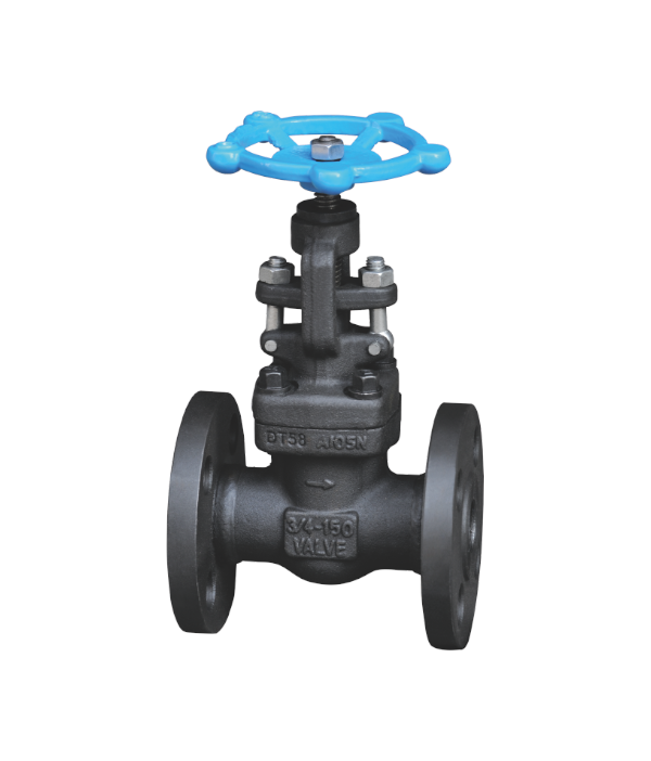 ����͸ַ�����ֹ��