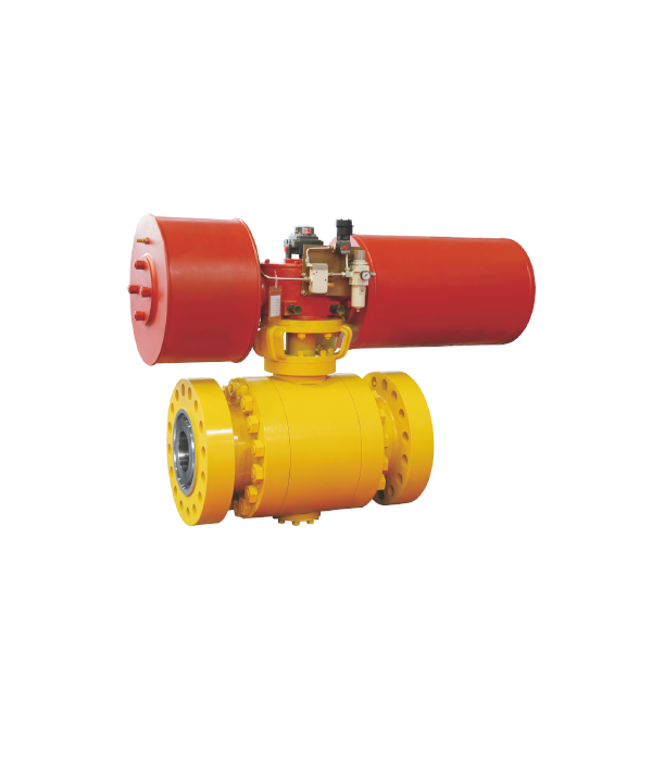 ���������͸���